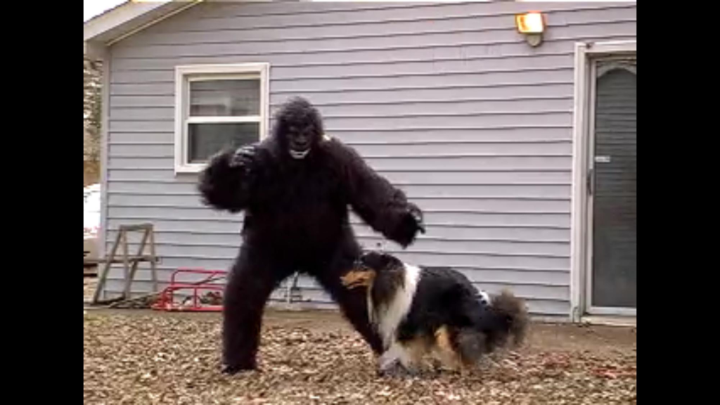 “Psycho Ape!,” 2020 (Munrovia Pictures)