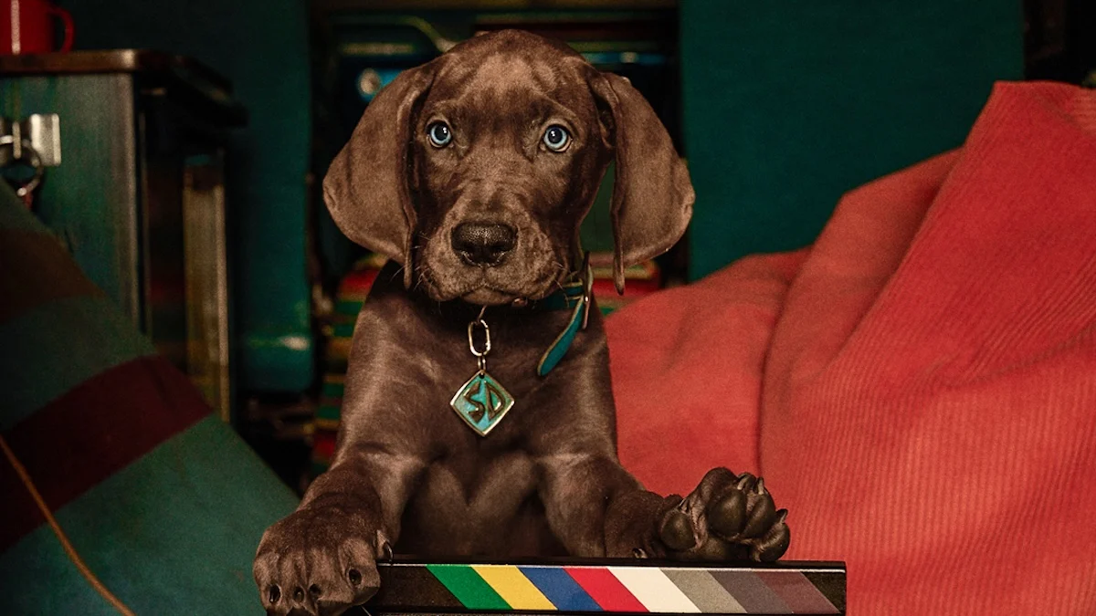 Netflix wraps filming on live-action Scooby-Doo: Origins ahead of 2027 launch